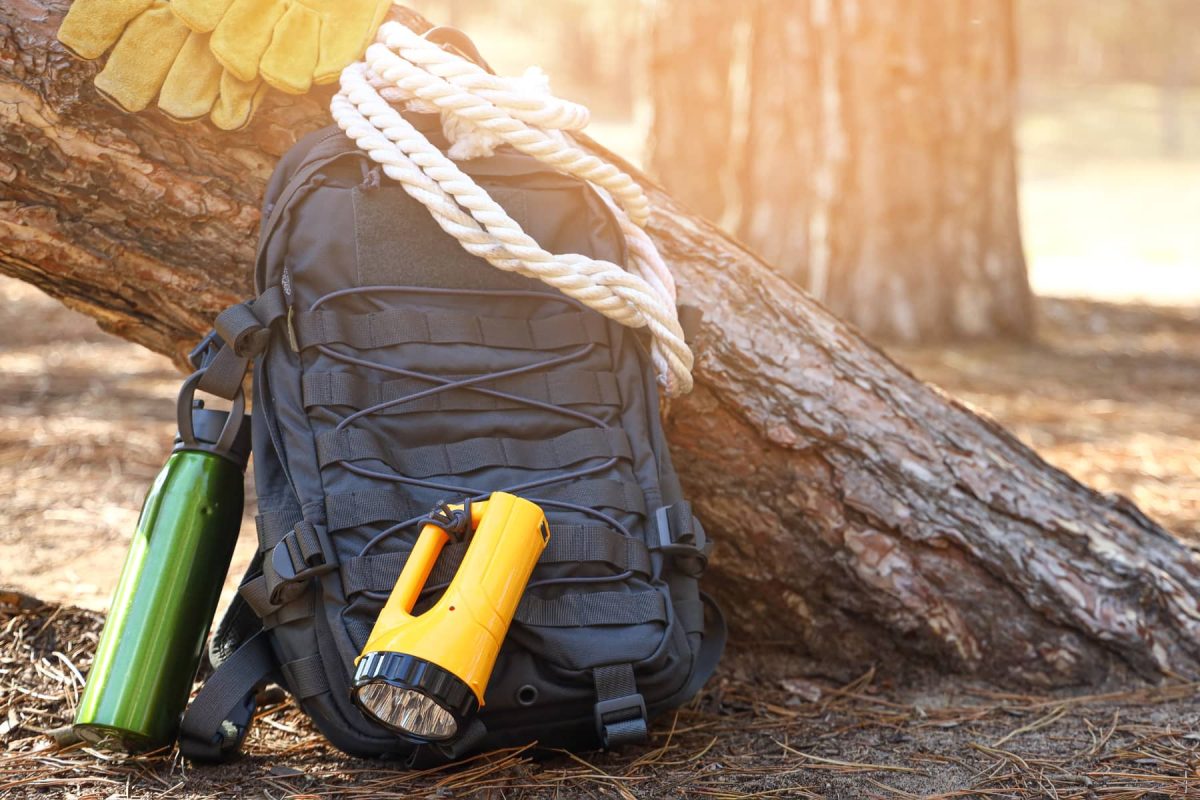 Untitled design - 2025-01-13T140553.423